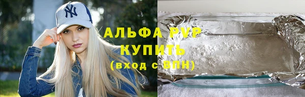 трава Няндома