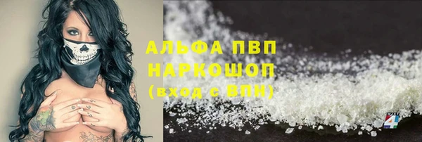 трава Няндома