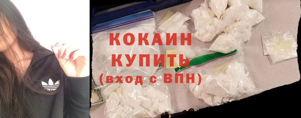 трава Няндома
