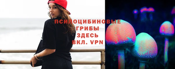 СК Осинники