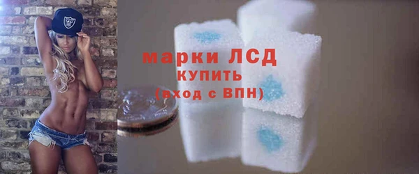 трава Няндома