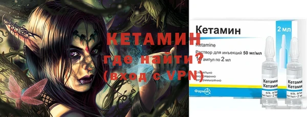 трава Няндома