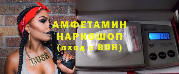 трава Няндома