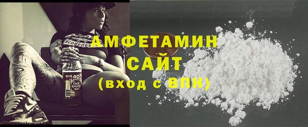трава Няндома
