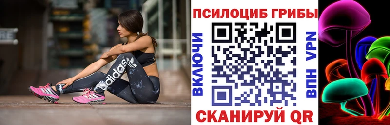 сайты даркнета как зайти  Семилуки  Галлюциногенные грибы GOLDEN TEACHER 